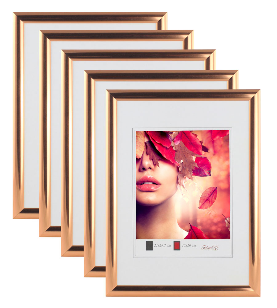 3er 5er Pack Art Line Kunststoff Bilderrahmen Wanddeko Collage Poster Fotorahmen Bildträger - Pack: 5er | Farbe: Rose Gold | Format: 40x50