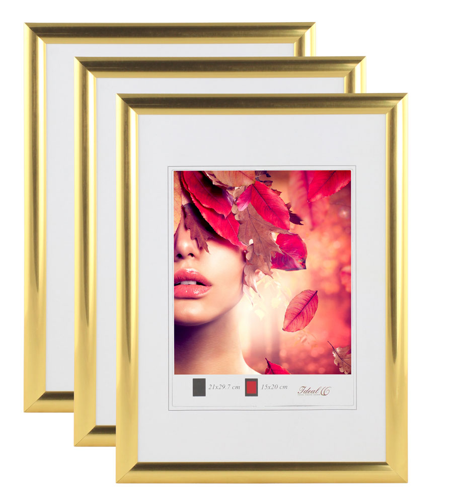 3er 5er Pack Art Line Kunststoff Bilderrahmen Wanddeko Collage Poster Fotorahmen Bildträger - Pack: 3er | Farbe: Gold | Format: 20x30