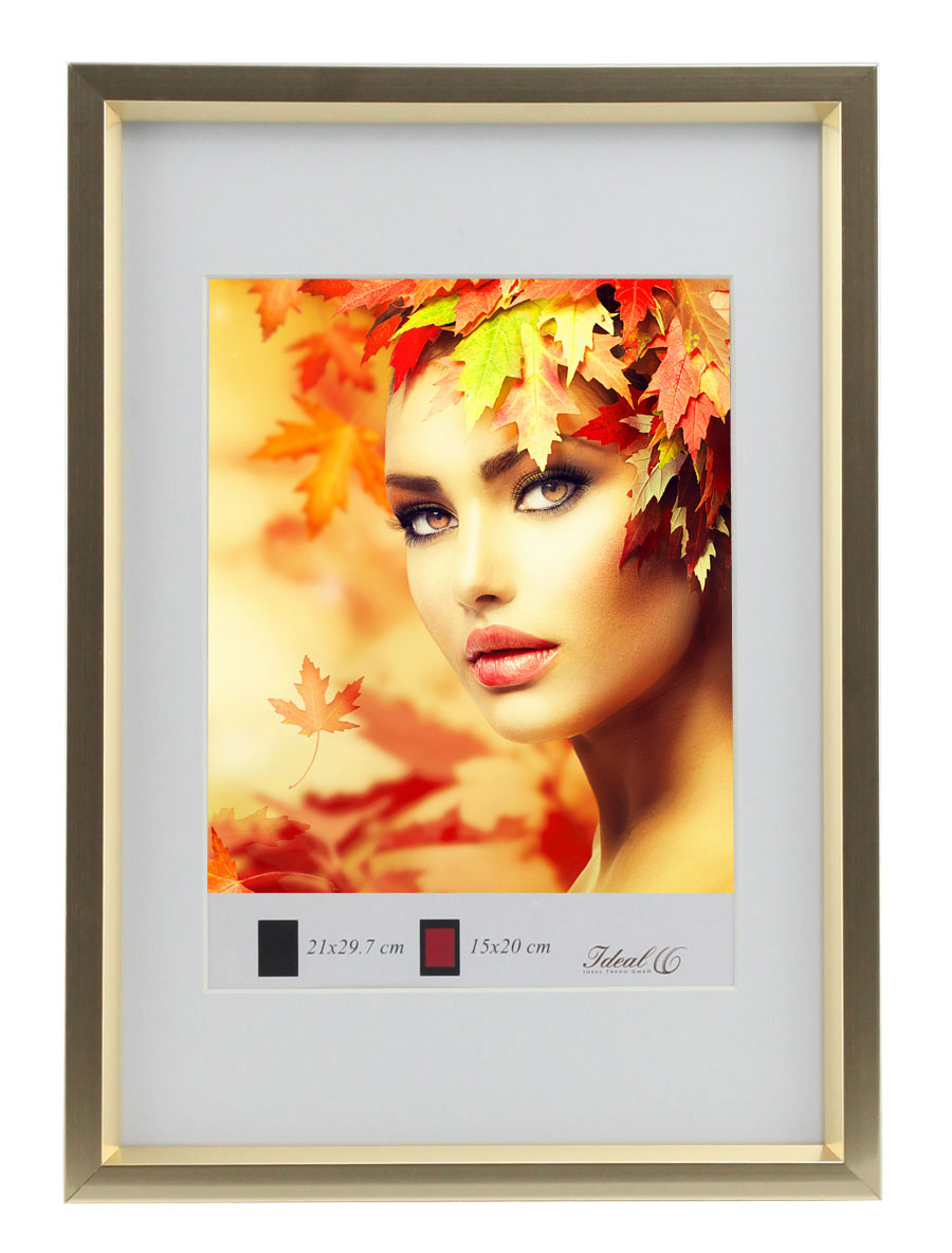 HS Kunststoff Bilderrahmen Schrägschnittpassepartout Bilder Foto Rahmen - Farbe: Gold | Format: 30x30