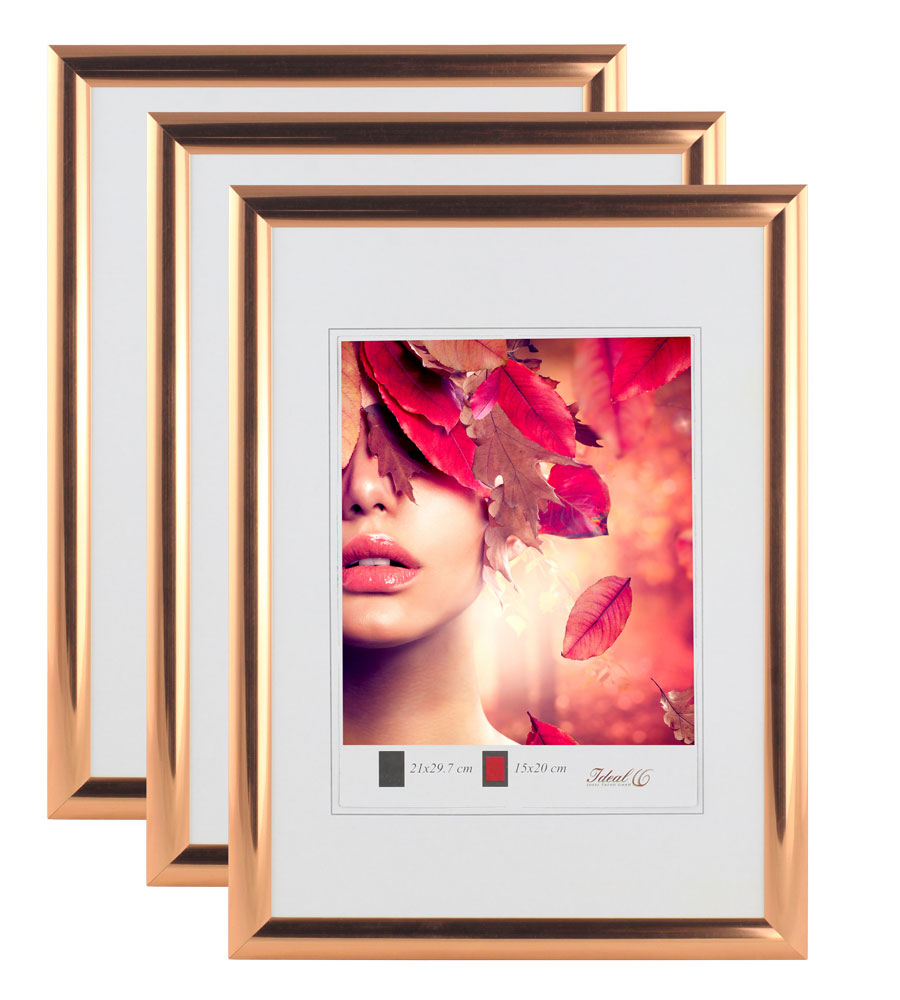 3er 5er Pack Art Line Kunststoff Bilderrahmen Wanddeko Collage Poster Fotorahmen Bildträger - Pack: 3er | Farbe: Rose Gold | Format: 21x29,7 DIN A4