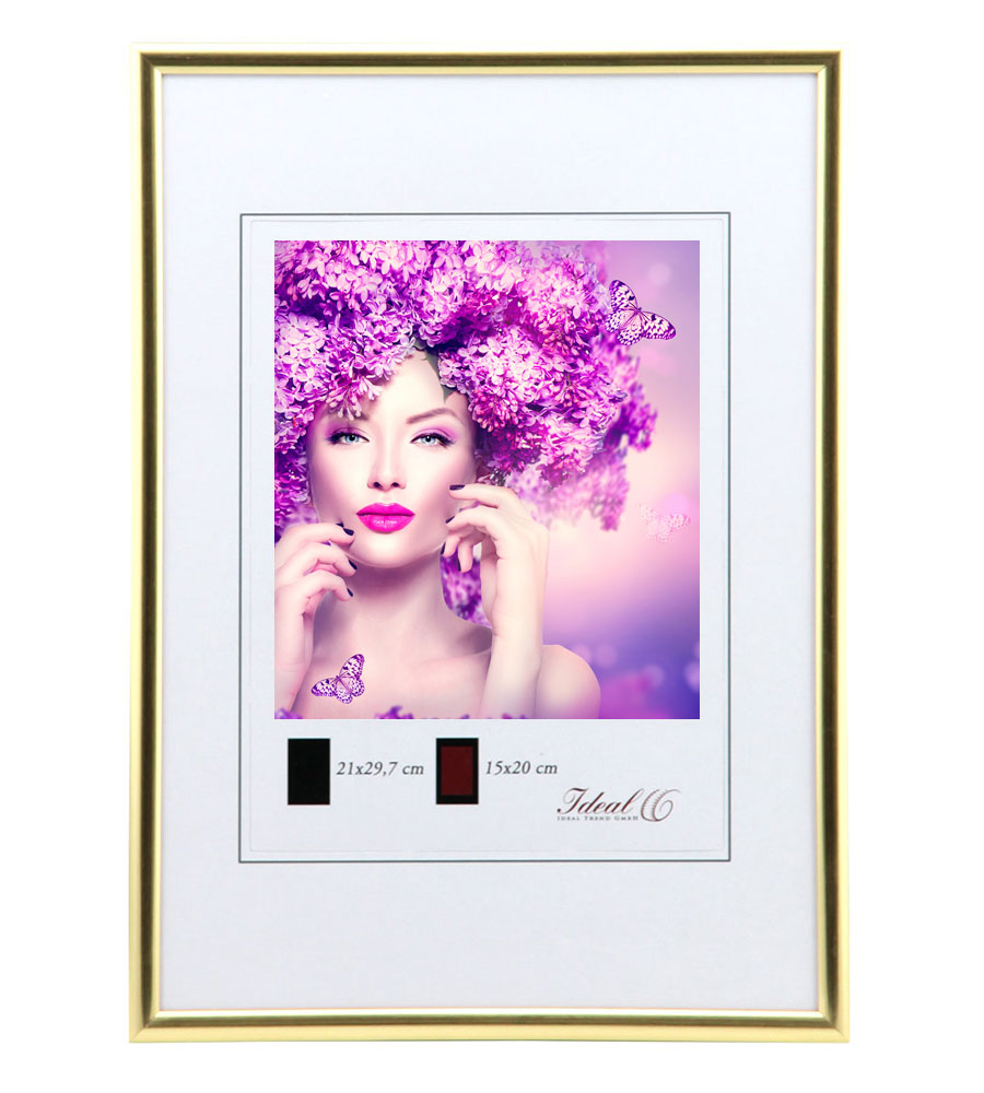 New Lifestyle Kunststoff Bilderrahmen Kunststoffrahmen Bildhalter Bildträger - Farbe: Gold | Format: 40x50
