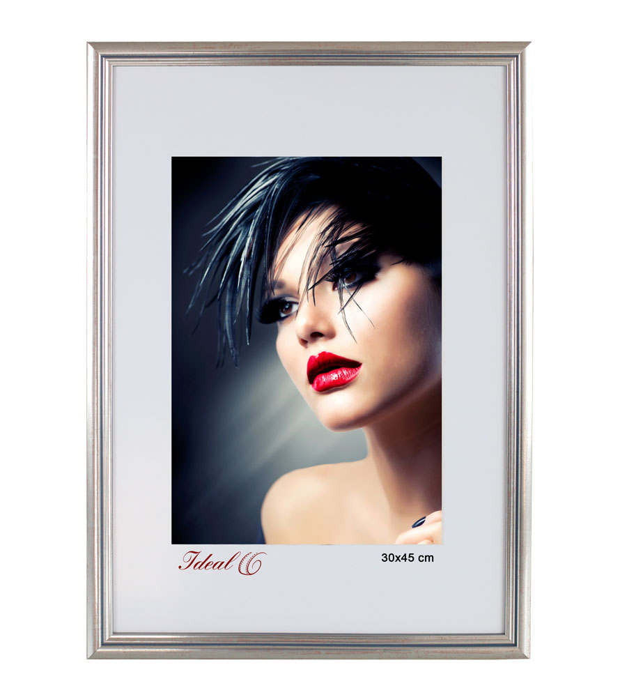Artos Holz Bilderrahmen Acrylglas Plexi Lifestyle Foto Rahmen Collage Wanddeko Poster - Farbe: Silber | Format: 30x45
