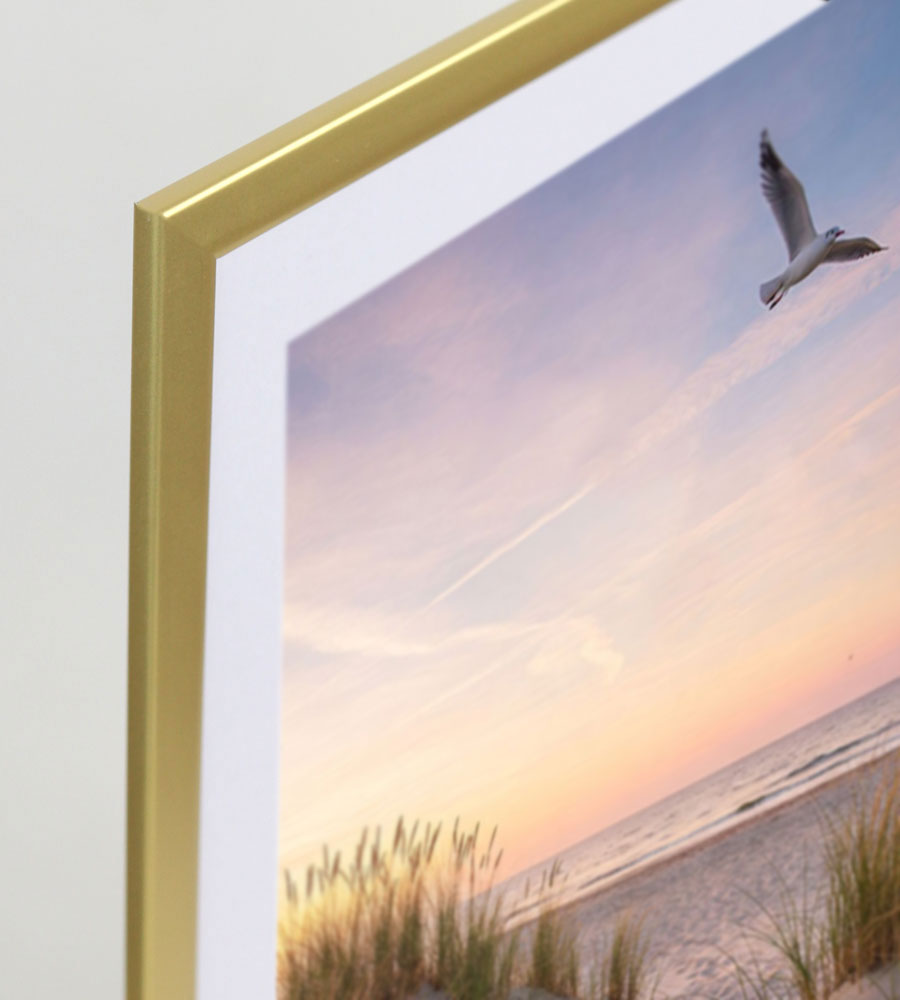 Bilderrahmen Fotorahmen aus Kunststoff Bilder Foto Posterrahmen Collage AC-6 - Farbe: Gold | Format: 30x40