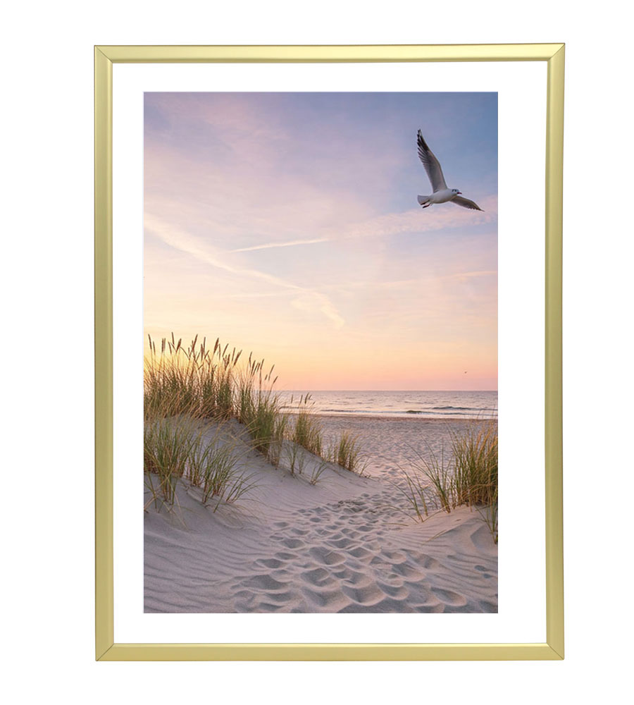 Bilderrahmen Fotorahmen aus Kunststoff Bilder Foto Posterrahmen Collage AC-6 - Farbe: Gold | Format: 30x40