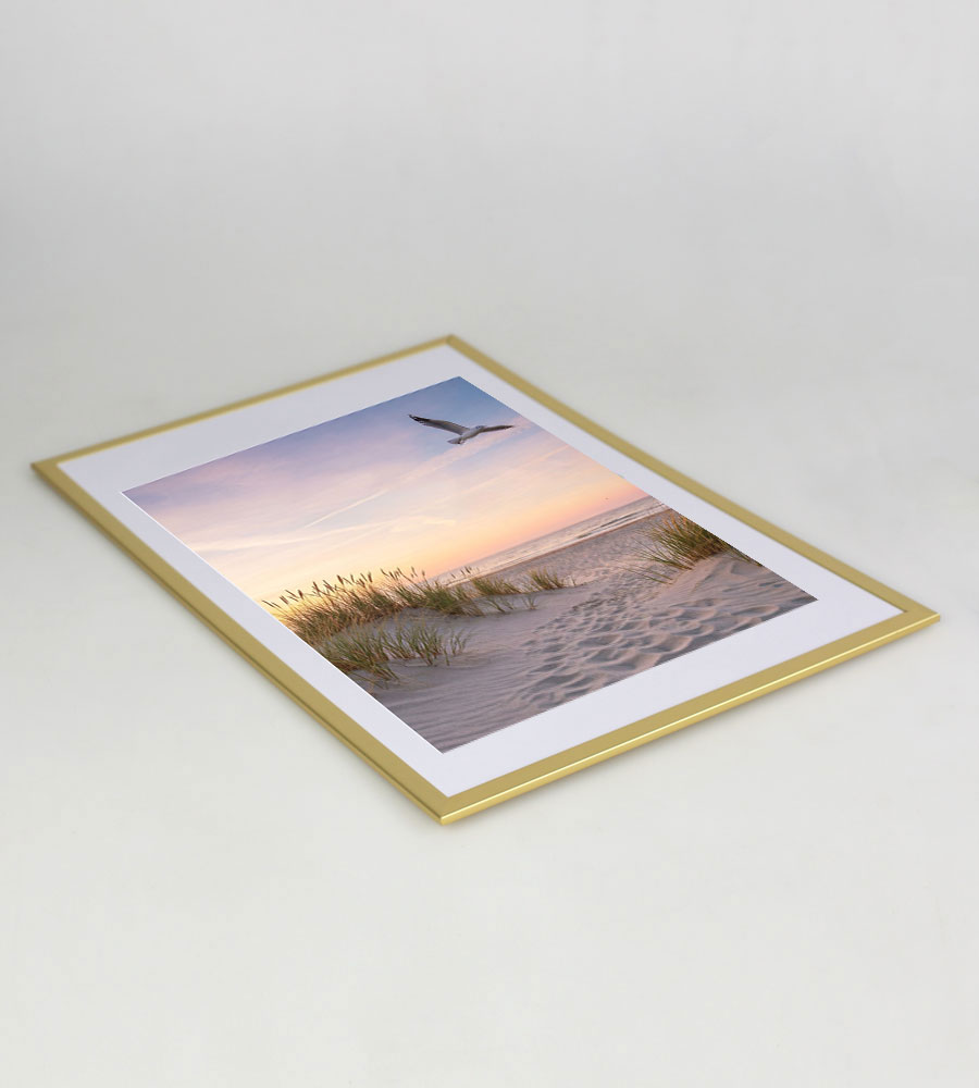 Bilderrahmen Fotorahmen aus Kunststoff Bilder Foto Posterrahmen Collage AC-6 - Farbe: Gold | Format: 30x40