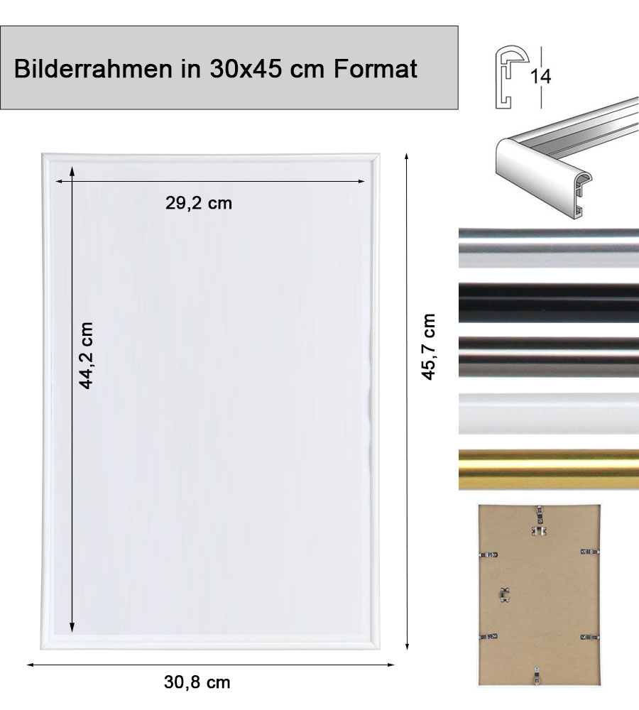 2er 3er 5er Pack Photo Style Set Bilderrahmen Wanddeko Collage Poster Kunststoff Rahmen - Pack: 3er | Farbe: Gold | Format: 30x45