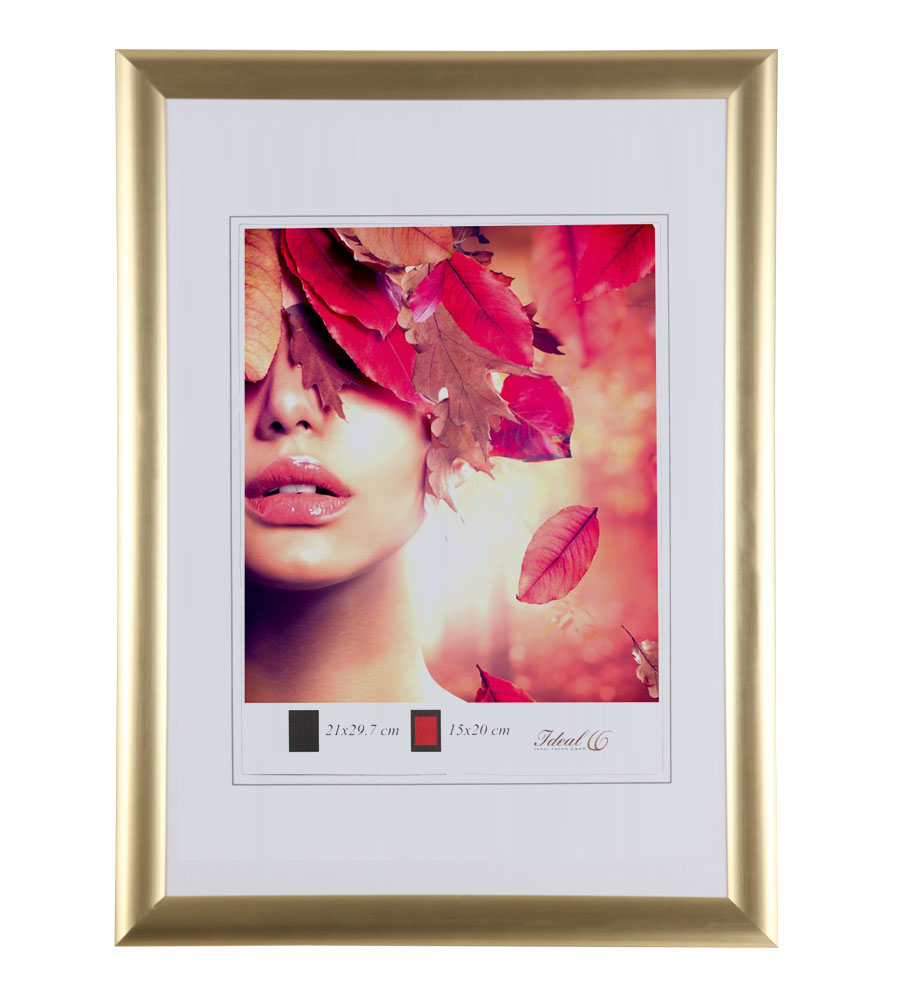3er 5er Pack Art Line Kunststoff Bilderrahmen Wanddeko Collage Poster Fotorahmen Bildträger - Pack: 5er | Farbe: Gold | Format: 20x30