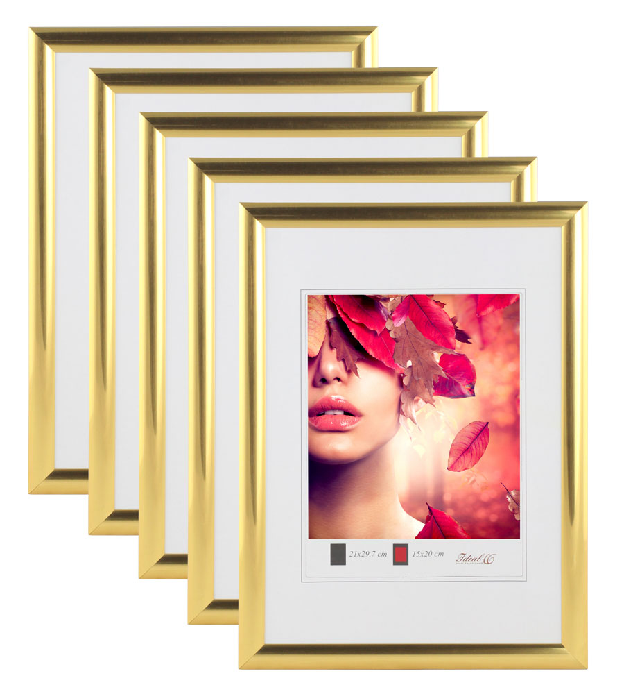 3er 5er Pack Art Line Kunststoff Bilderrahmen Wanddeko Collage Poster Fotorahmen Bildträger - Pack: 5er | Farbe: Gold | Format: 20x30