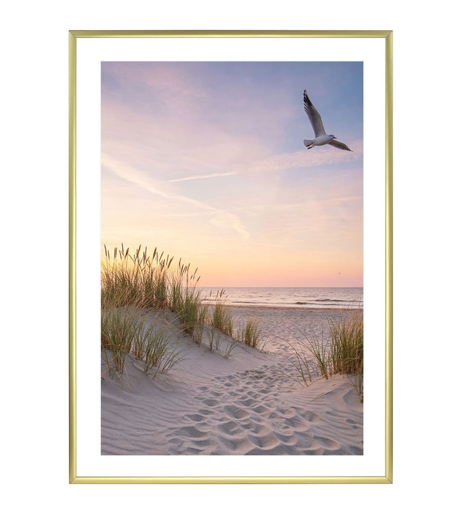 Bilderrahmen Fotorahmen aus Kunststoff Bilder Foto Posterrahmen Collage AC-6 - Farbe: Gold | Format: 50x70