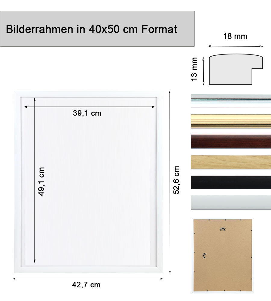 Kunststoffrahmen mit Klarglas Bilderrahmen PS-1 Frame Foto Collage Portraitrahmen Glasscheibe - Farbe: Natur | Format: 40x50